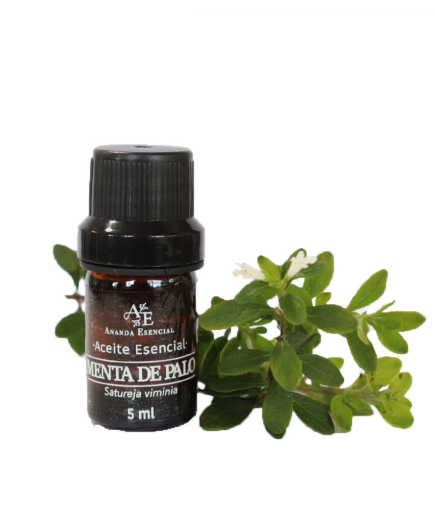 Aceite esencial de Menta de Palo