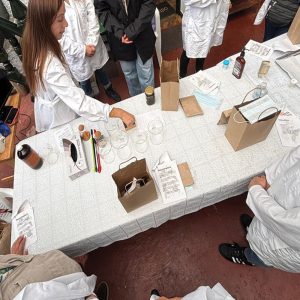 Taller de Cosmética Natural