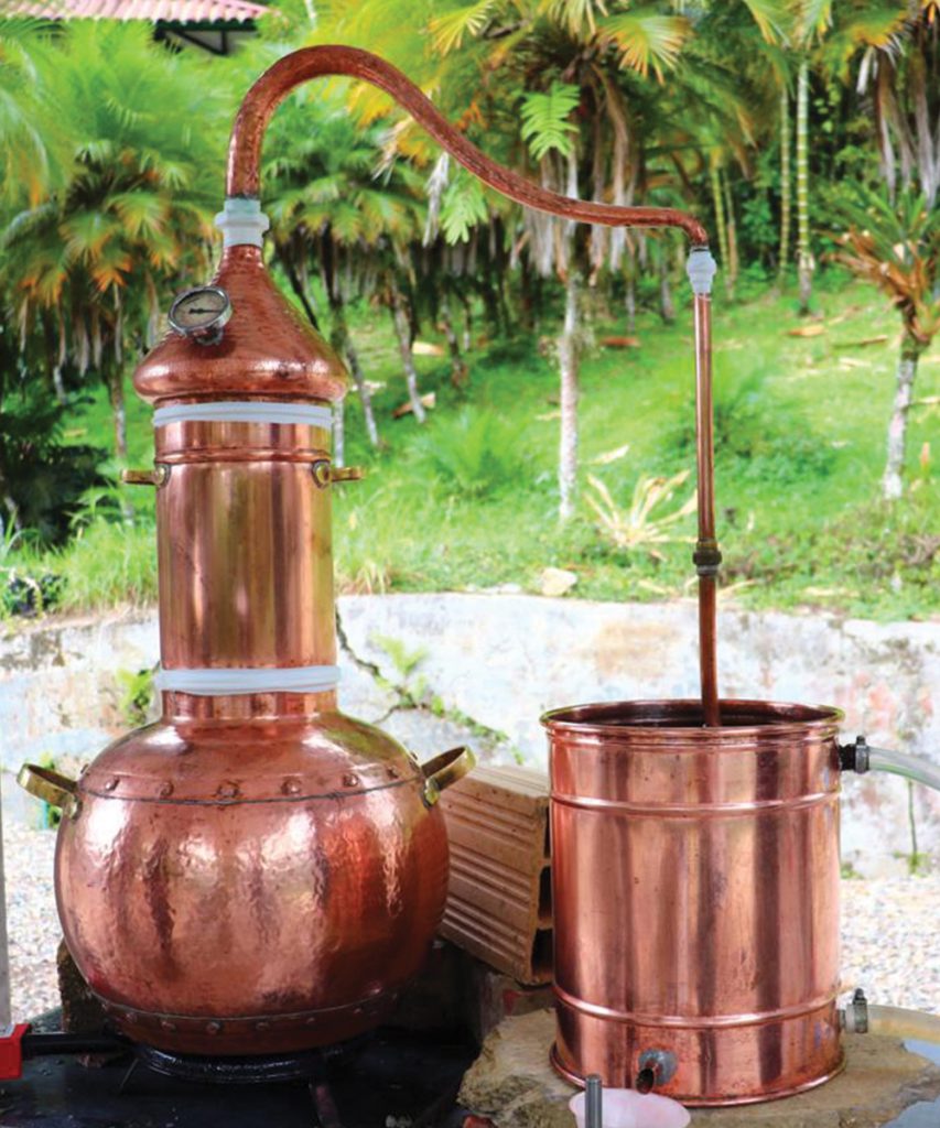 Curso de destilación de aceites esenciales