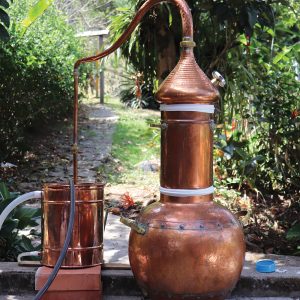 Taller de Cosmética Natural