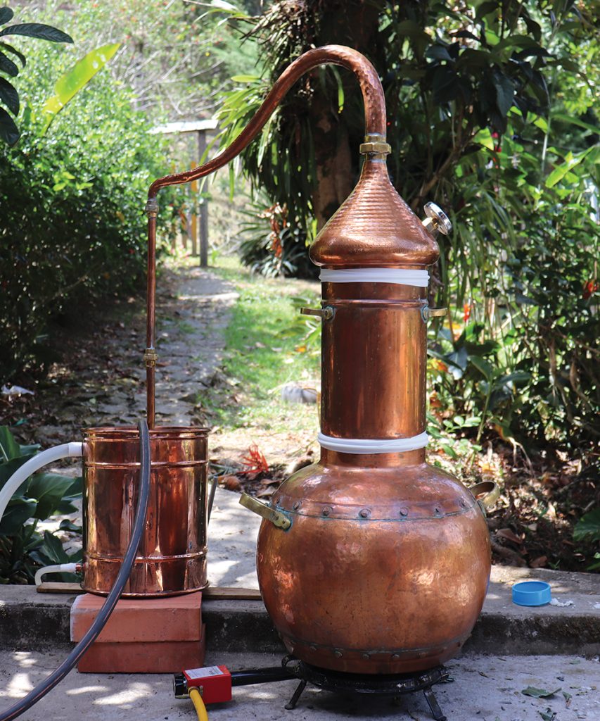 Taller de Cosmética Natural